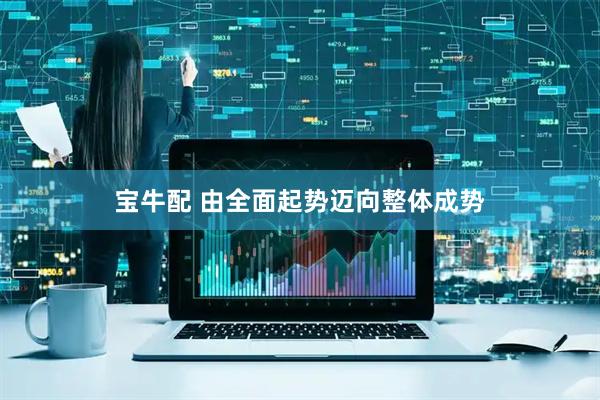 宝牛配 由全面起势迈向整体成势