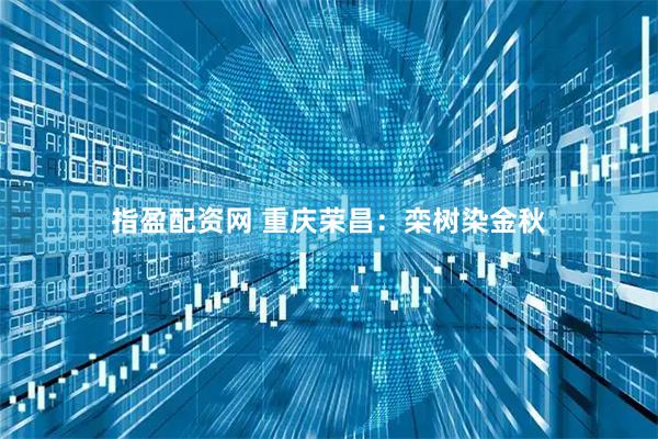 指盈配资网 重庆荣昌：栾树染金秋