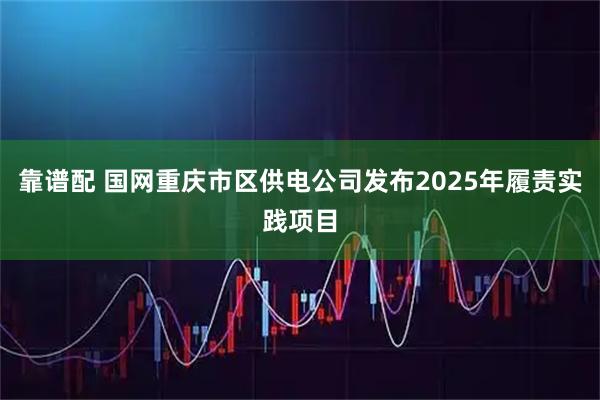 靠谱配 国网重庆市区供电公司发布2025年履责实践项目