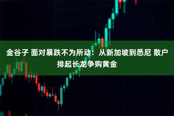 金谷子 面对暴跌不为所动：从新加坡到悉尼 散户排起长龙争购黄金